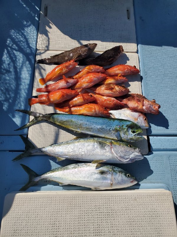 五ヶ所湾ジギング釣果スライダ用（8）