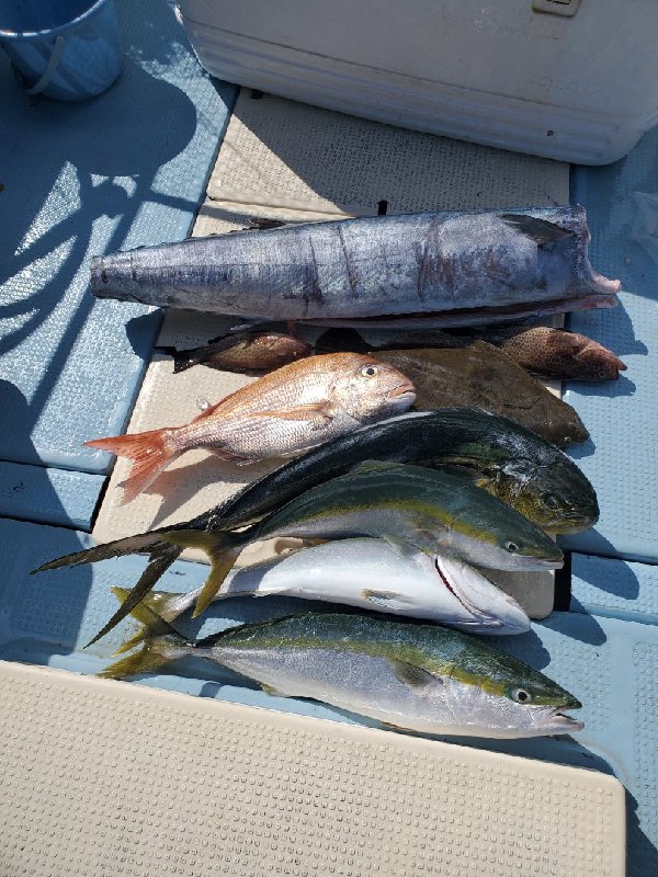 五ヶ所湾たて釣り釣果スライダ用（2）