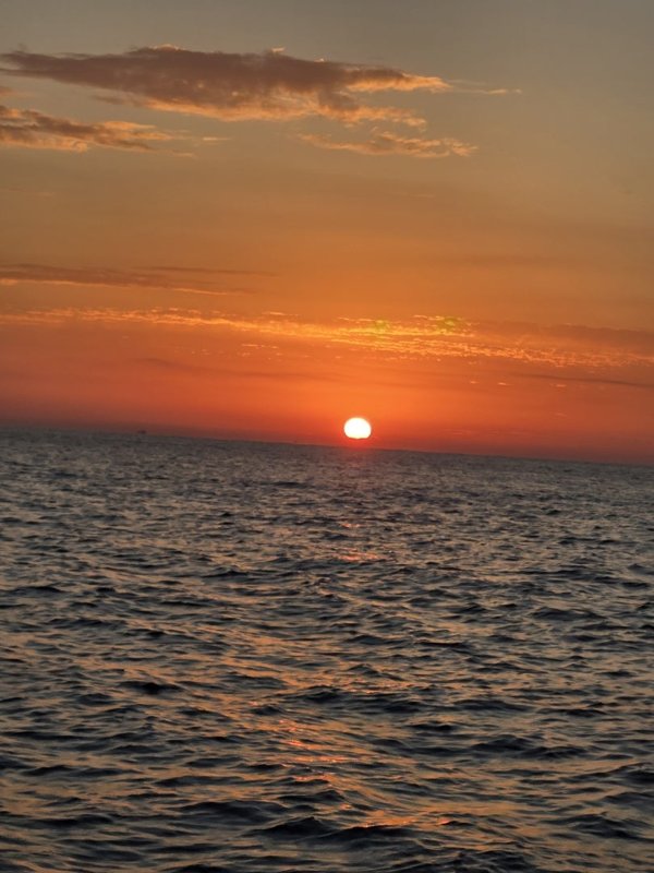 五ヶ所湾ティップラン釣果スライダ用（1）