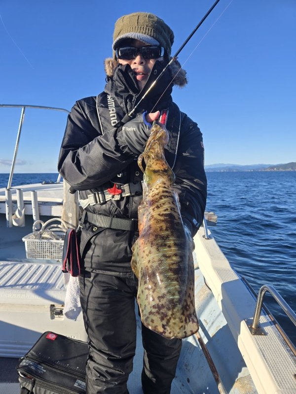 五ヶ所湾ティップラン釣果スライダ用（4）