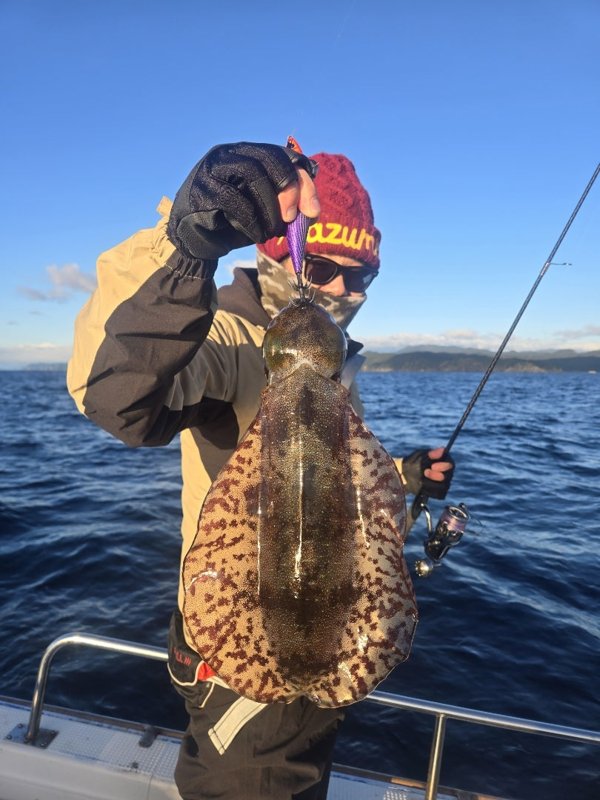 五ヶ所湾ティップラン釣果スライダ用（1）