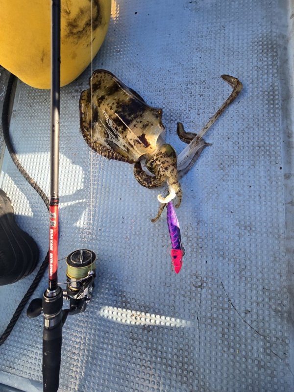 五ヶ所湾ティップラン釣果スライダ用（2）