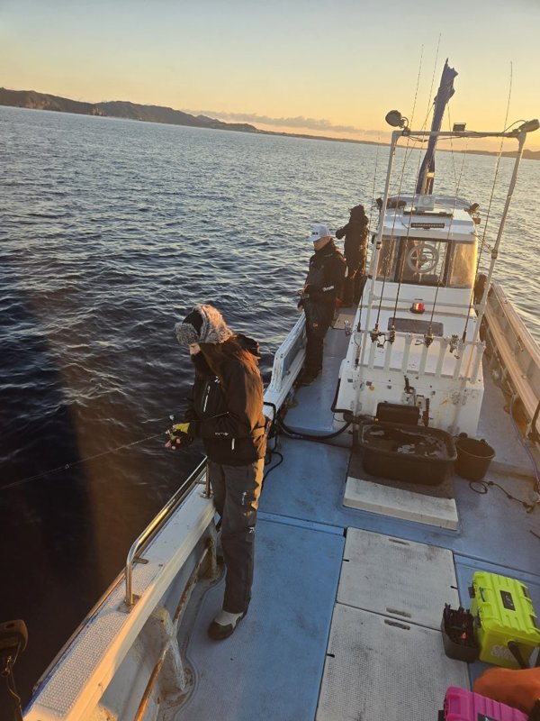 五ヶ所湾ティップラン釣果スライダ用（1）