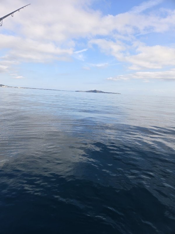 五ヶ所湾ティップラン釣果写真（2）