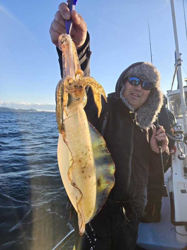 五ヶ所湾ティップラン釣果スライダ用（2）