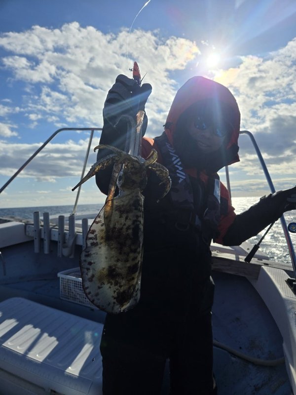 五ヶ所湾ティップラン釣果スライダ用（9）