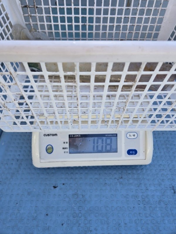 五ヶ所湾ティップラン釣果スライダ用（11）