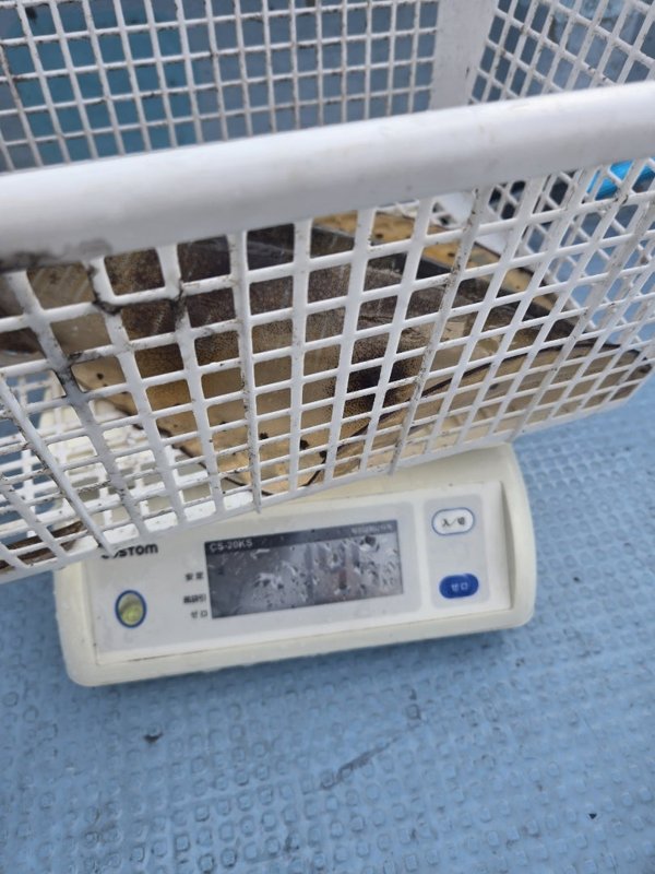 五ヶ所湾ティップラン釣果スライダ用（5）