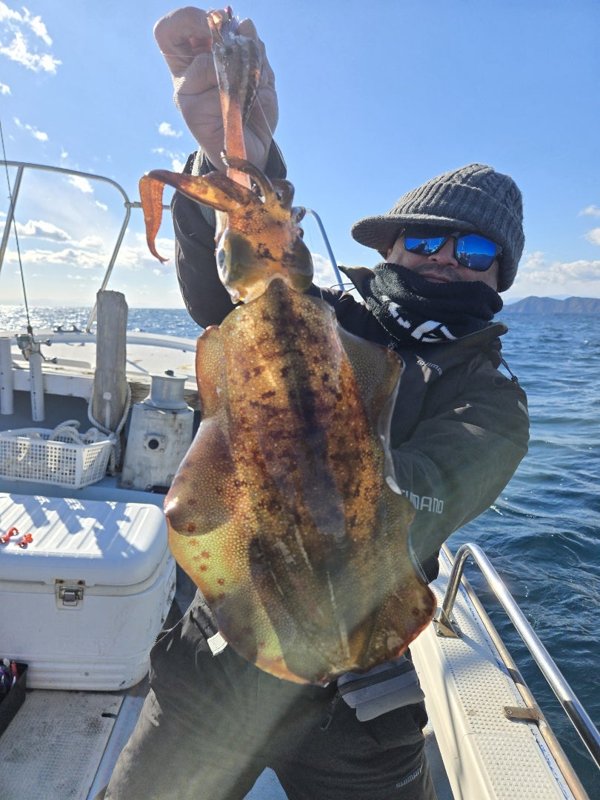 五ヶ所湾ティップラン釣果スライダ用（3）