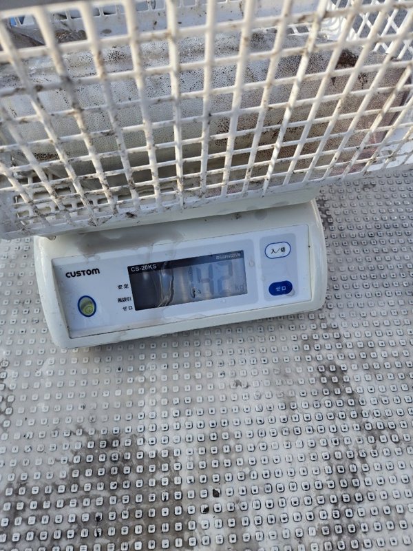 五ヶ所湾ティップラン釣果スライダ用（4）