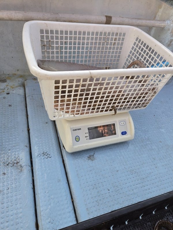 五ヶ所湾ティップラン釣果スライダ用（8）