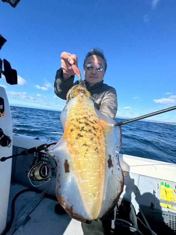 五ヶ所湾ティップラン釣果スライダ用（1）