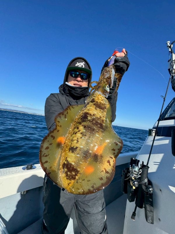 五ヶ所湾ティップラン釣果スライダ用（3）