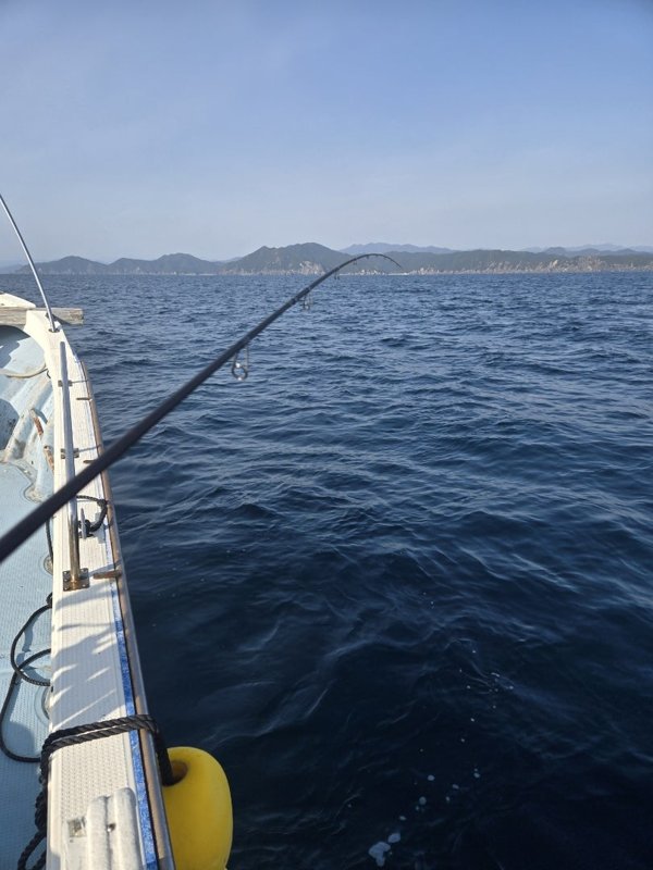 五ヶ所湾ティップラン釣果スライダ用（2）