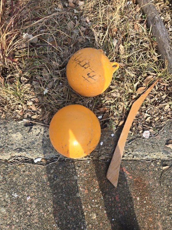 五ヶ所湾ティップラン釣果スライダ用（6）