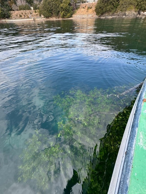 五ヶ所湾ティップラン釣果スライダ用（10）