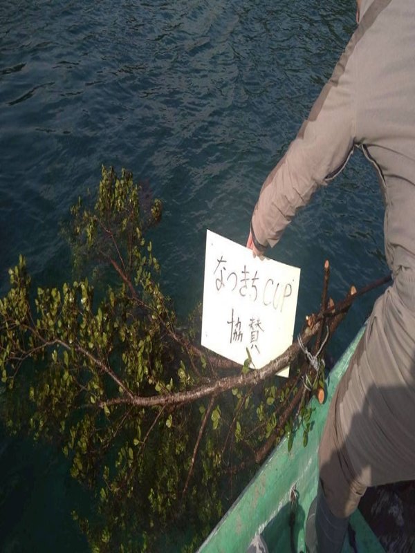 五ヶ所湾ティップラン釣果スライダ用（11）