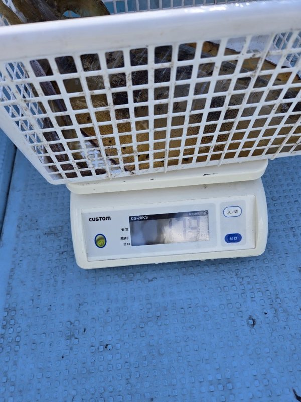 五ヶ所湾ティップラン釣果スライダ用（3）