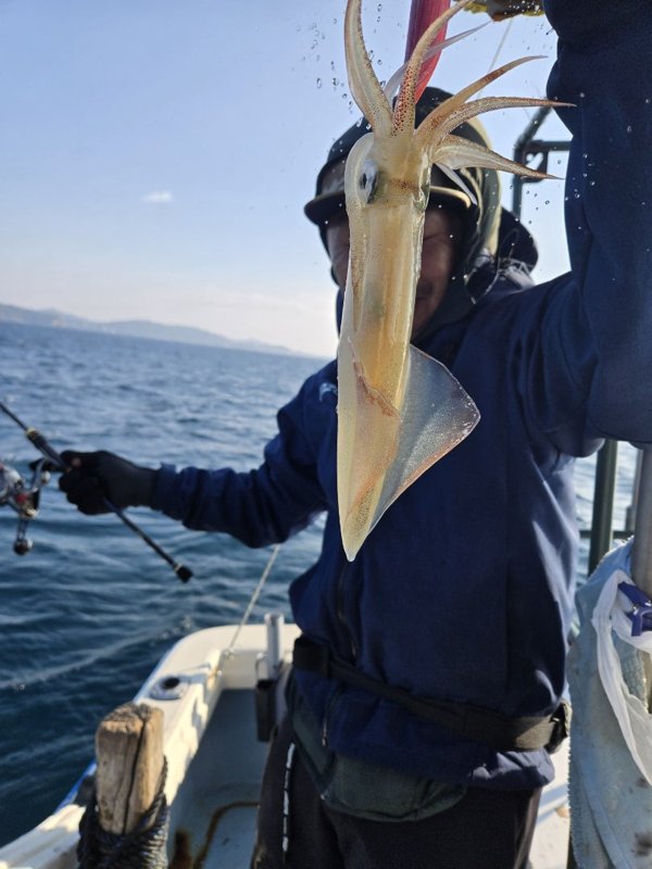 五ヶ所湾ティップラン釣果スライダ用（3）
