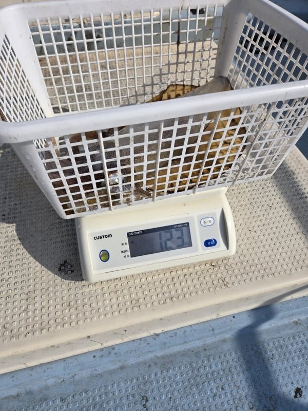 五ヶ所湾ティップラン釣果スライダ用（3）