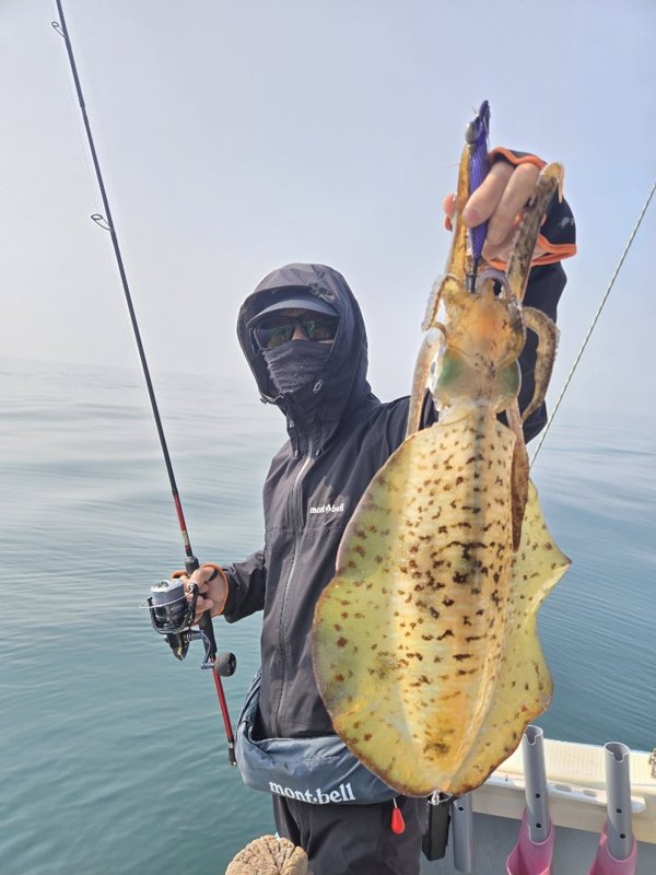 五ヶ所湾ティップラン釣果スライダ用（2）