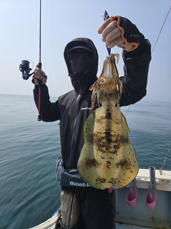 五ヶ所湾ティップラン釣果スライダ用（3）